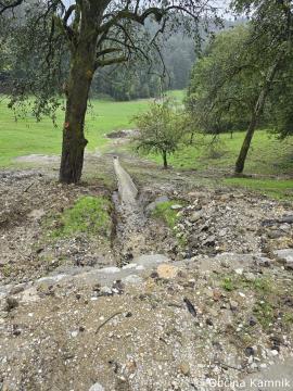 Sanacija plazu Kregarjevo (1)